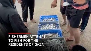 Fishermen attempt to fish for the residents of Gaza amid concerns about attacks by Israeli naval