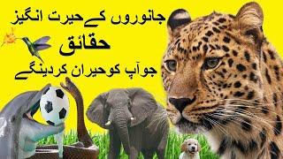 Amazing Animal Facts That Will Surprise You I Facts About Animal I Cheetah I King Cobra I Elephant