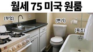 웃긴 짤들 249편