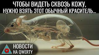 Электрическое поле Земли. Грибы контролируют роботов. Золотые самородки. Новости QWERTY №313