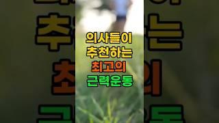 의사들이 추천하는 최고의 근력운동 #건강정보#건강팁#근력강화#근력운동