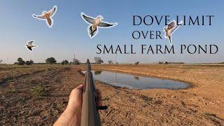 Dove Limit over Small Cattle Pond!