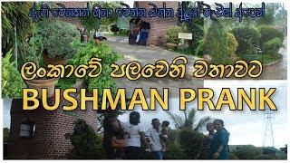 Bushman prank First time in sri lanka.Angamara Production