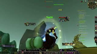 "you should be faster..." - World PvP Affliction SL Warlock vs Feral Druid | WoW Classic, TBC, WotLK