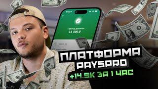 Обзор площадки PaysPro. Заработали 14.5к за час