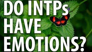 Do INTPs Have Emotions?