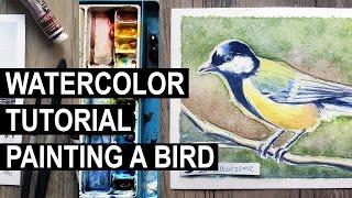 How to Paint a Bird - Watercolor Tutorial