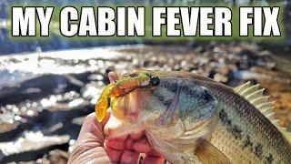 Fixing Cabin Fever by Fishing Z-Man TRD CrawZ in Spillway