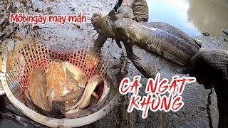 VÔ MÁNH ĐẦY CÁ NGÁT KHỦNG | HÒA CẦN GIỜ VLOG