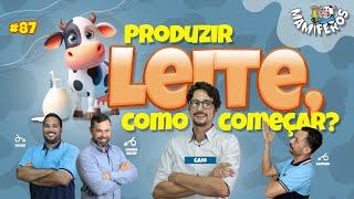 PRODUZIR LEITE, COMO COMEÇAR?