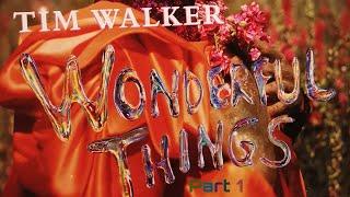 TIM WALKER: WONDERFUL THINGS | V&A Museum | Immersive Visit #8 | Sound on | Part 1/3