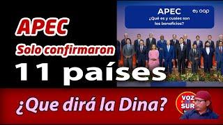 De las 21 economías, solo han confirmado 11 para el APEC