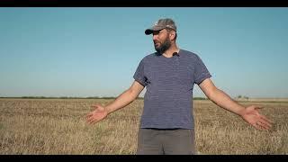 Горе видео #notill