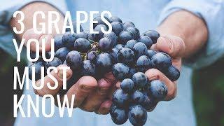 Master Sommelier Reveals 3 Wine Grapes You Must Know - Wine Oh TV