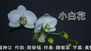 小白花  《奉献咏》  词：黄进龙神父  曲：周荣福   伴奏：陈乐宁  字幕：黄艳芬