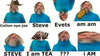 I Am Steve but Various Types