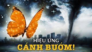 #464 Cánh Bướm Đã Tạo Ra Cơn Lốc Xoáy NTN??? | Thông Não: Hiệu Ứng Cánh Bướm & Lý Thuyết Hỗn Loạn!