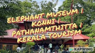 Elephant Museum | Konni | Pathanamthitta | Kerala Tourism | Wild