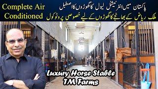 The Most Advanced and Luxury Air Conditioned Horse Stable  | Tm Farms || Most Beautiful Stable Tour