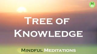 Tree of Knowledge - Higher Self Guided Meditation