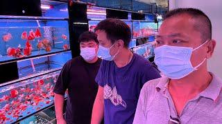 LIOW VIDEO: At Rainbow Aquarium (Serangoon) 水族馆买金鱼