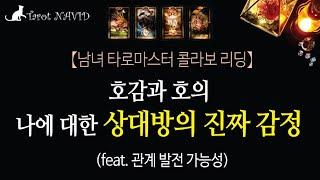 [타로/연애운] 나에 대한 상대방의 감정은 호감일까? 호의일까? 관계 발전 가능성은?