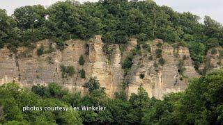 InFocus 318 | Shawnee National Park Movement