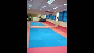 School of complex development ROKA JUDO Haifa Israel