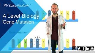 Gene mutation - A Level Biology