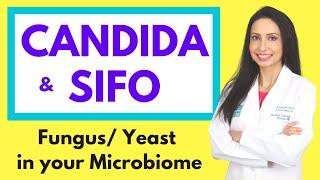 CANDIDA and SIFO (Small Intestine Fungal Overgrowth):  Fungal/ Yeast Overgrowth in the Microbiome