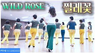 찔레꽃 라인댄스 (Wild Rose Line Dance)경기용인