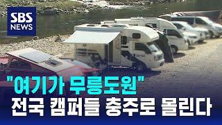 "여기가 무릉도원"…충주시로 전국 캠퍼들 몰려오는 이유 / SBS