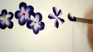 paint easy 5 petal flowers