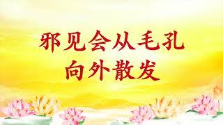 卢台长【节目录音】邪见会从毛孔向外散发