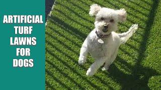 Artificial Turf Lawns for Dogs