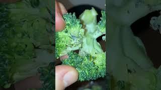 Never eating broccoli  after this