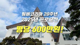 팀버코리아 20주년[평당600만원 프로모션]