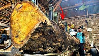 Jackfruit Sawmill Terrible: Turning Logs Into Beautiful Blocks