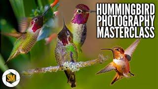 Hummingbird Photography Masterclass - Everything you need to know