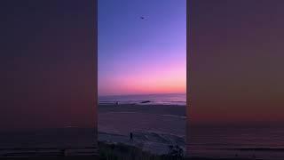 Sunset dream  #LA #LosAngeles #California #shorts
