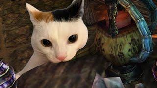 Skooma Addicted Khajiit Inhales Skooma