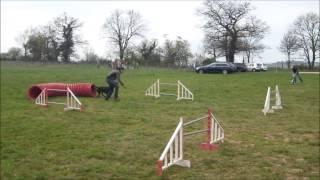 Agility   laure&tinga