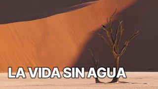 La Vida sin Agua | Adaptarse para Sobrevivir