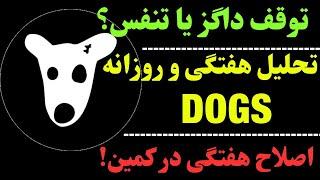 تحلیل ارز داگز | در این هفته چه می‌شود؟ | بررسی DOGS