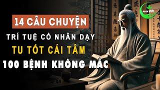 14 Câu Chuyện Trí Tuệ Thâm Sâu Cổ Nhân Dạy: Tu Tốt Cái Tâm Thì Trăm Bệnh Không Mắc | Triết Lý Sống