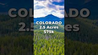 COLORADO MOUNTAIN LAND for SALE with Cabin • LANDIO