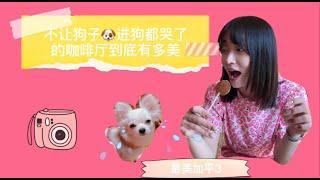 探店韩国加平咖啡店日记4|依山傍水是花园|不让狗进狗都哭了