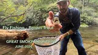 EPIC Day Fly Fishing for Brown Trout - Great Smoky Mountains National Park - June 2024