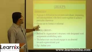 Learnix MBA Online Video Coaching Class - Organizational Behaviour