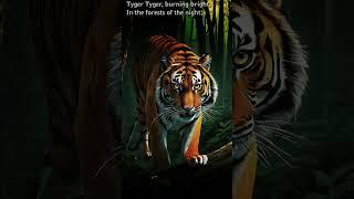 The Tyger BY WILLIAM BLAKE Tyger Tyger, burning bright, In the forests of the night